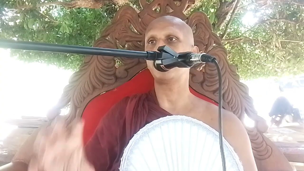 මුල් හාව