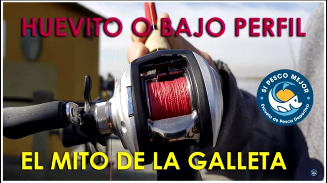 COMO REGULAR REEL HUEVITO !!! MIRA CERO GALLETA