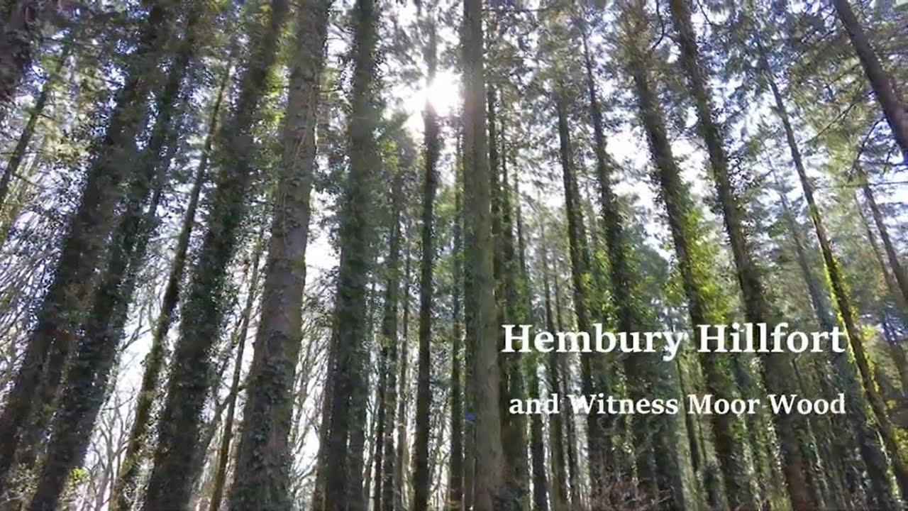Hembury Hill Fort and Witness Moor Wood Devon England UK 4k Drone Footage