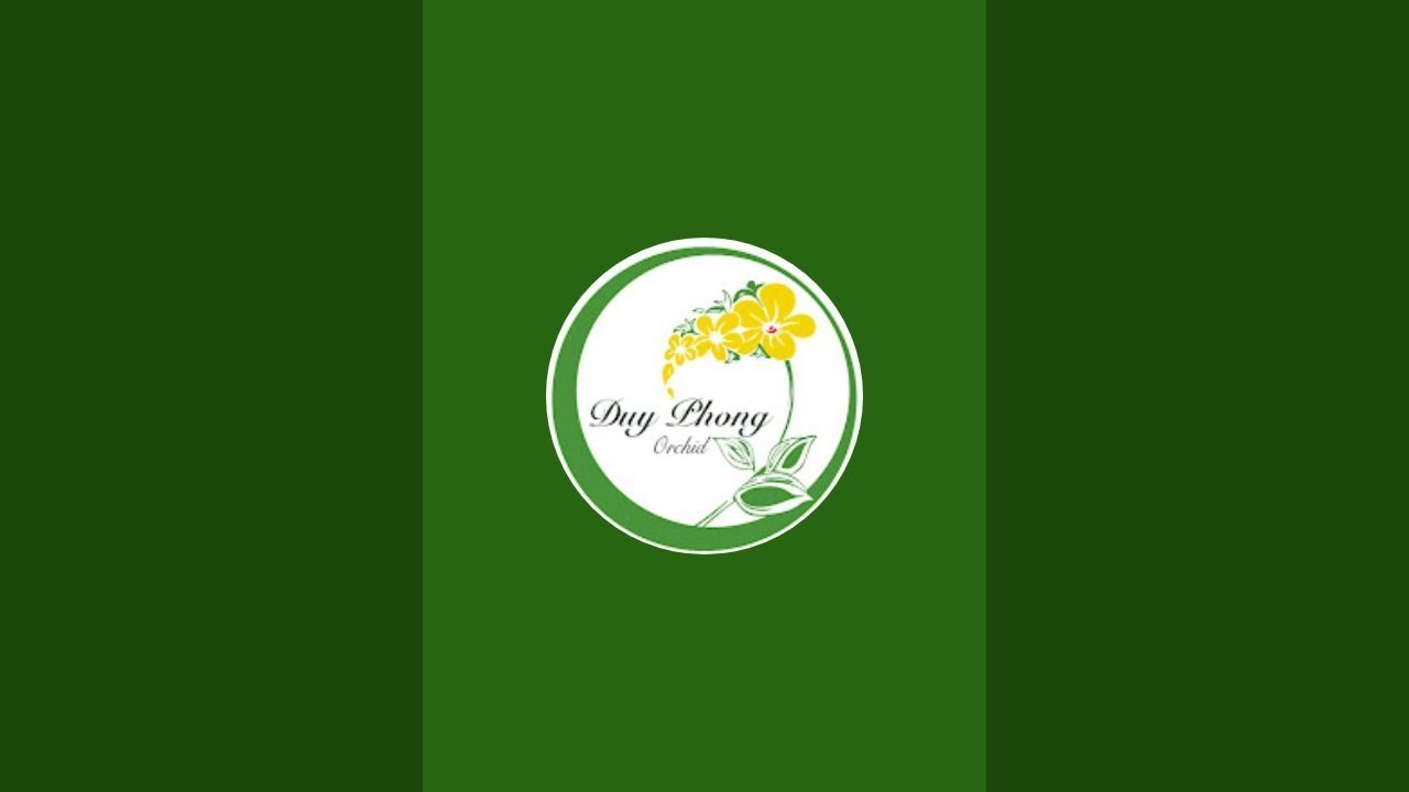HOA LAN DUY PHONG đang phát trực tiếp!