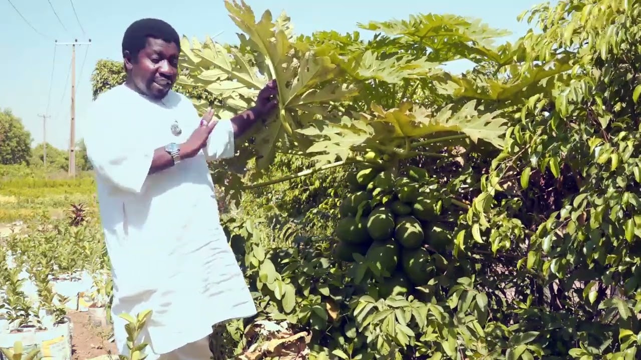 NOMAN ITATUWA DA AFANINSA GA RAYUWAR MUTANE ABINDA YAFARU DANI....