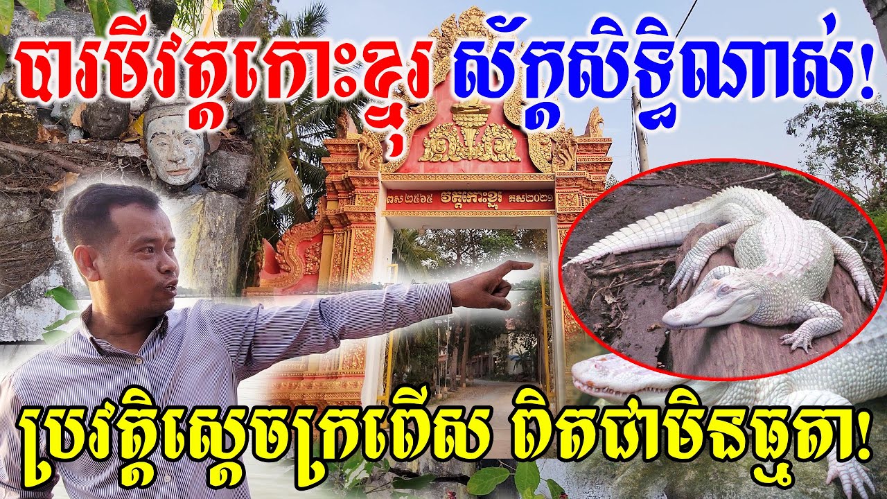 បារមីវត្តកោះខ្នុរ ស័ក្តសិទ្ធិណាស់ ប្រវត្តិស្តេចក្រពើស ពិតជាមិនធម្មតា!