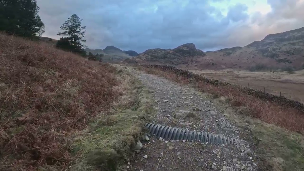 Blea Tarn , Langdale , looking for wild life , Dec 2025