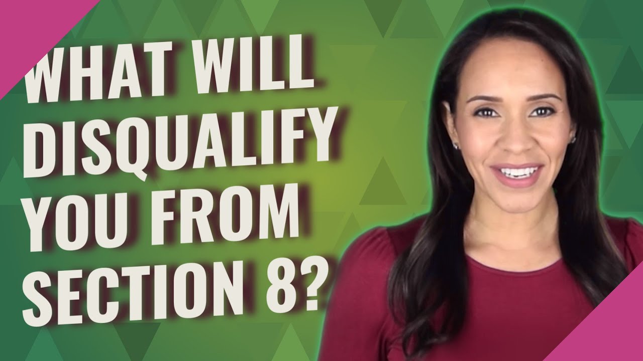 What will disqualify you from Section 8?