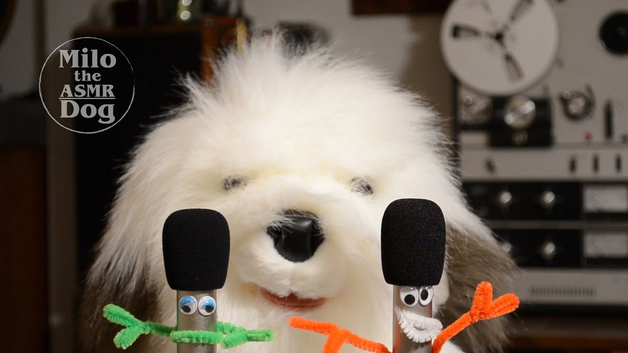 Mic Eating and Scratching ASMR