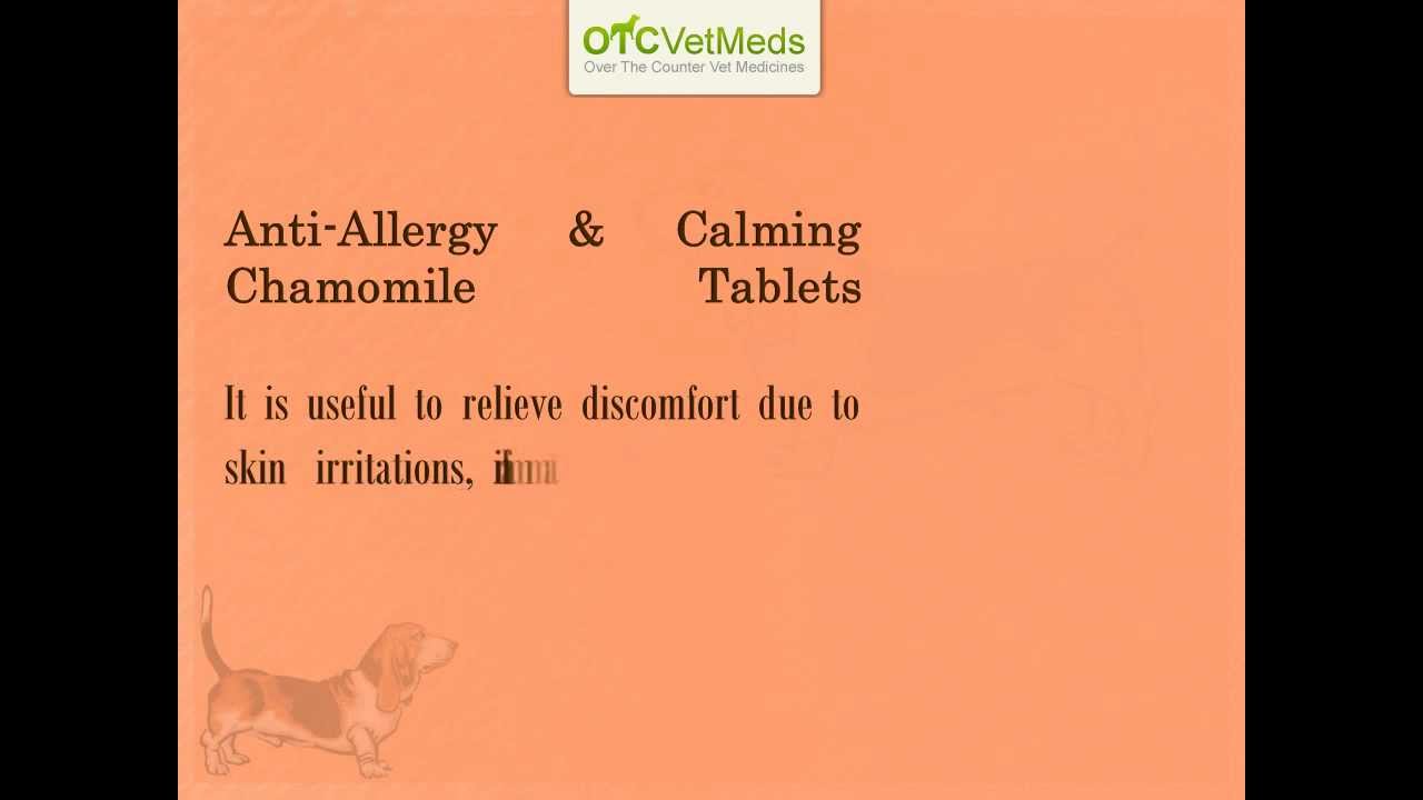 Pet Meds for medium dogs
