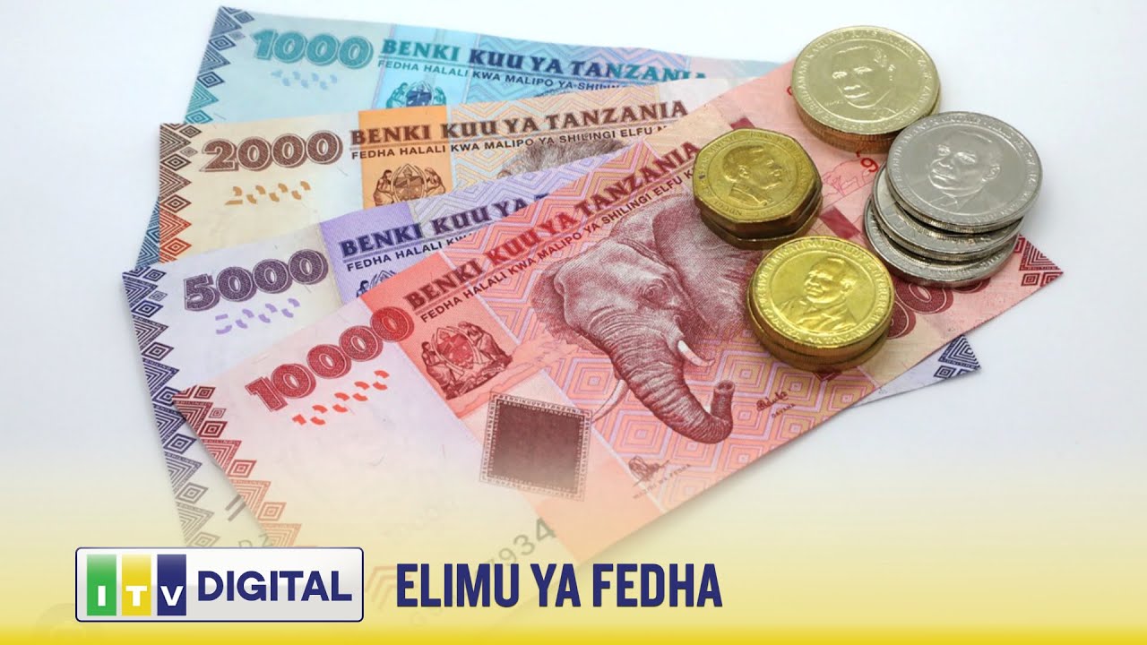 🔴MEZA HURU: JE, UNAFAHAMU NINI KUHUSU ELIMU YA FEDHA?....JANUARI  19,  2026