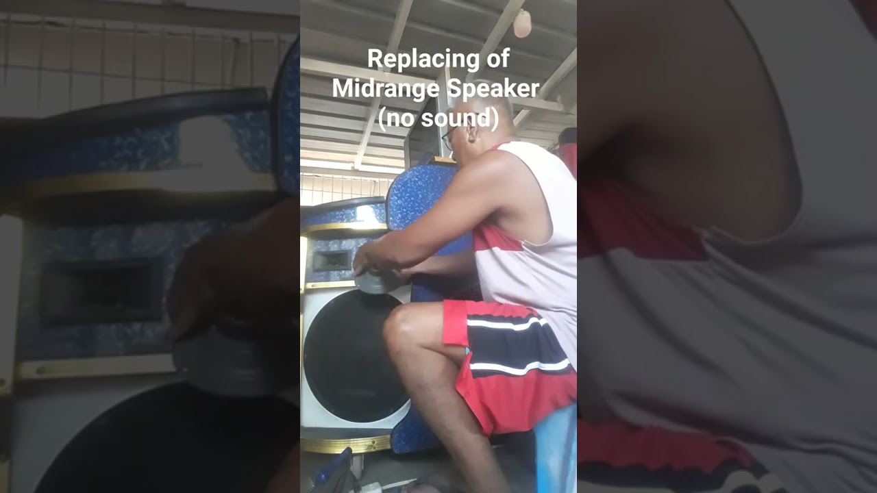 Replacing midrange speaker (no sound)