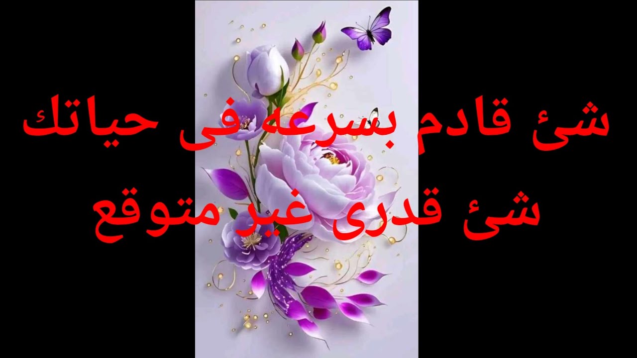 شئ قدرى كبير قادم بسرعه فى حياتك شئ قادم غير متوقع لحياتك حااااااااااااان الوووووووووقت 🕐