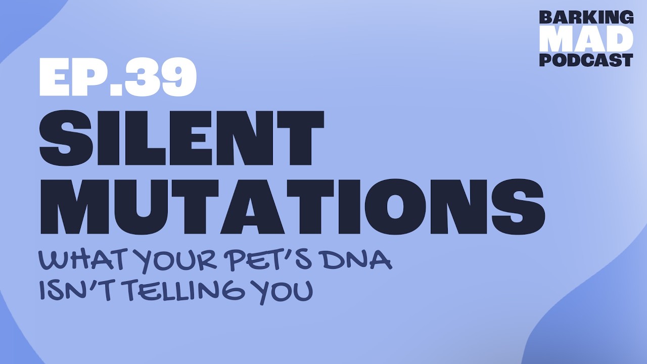 Silent Mutations: What Your Pet’s DNA Isn’t Telling You