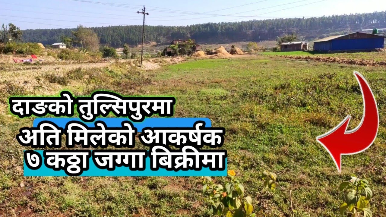 अतिमिलेको आकर्षक ७ कठ्ठा खेतीयोग्य जग्गा बिक्रीमा✅Sasto Jagga Bikrima Tulsipur Katkuiya Dang Nepal |