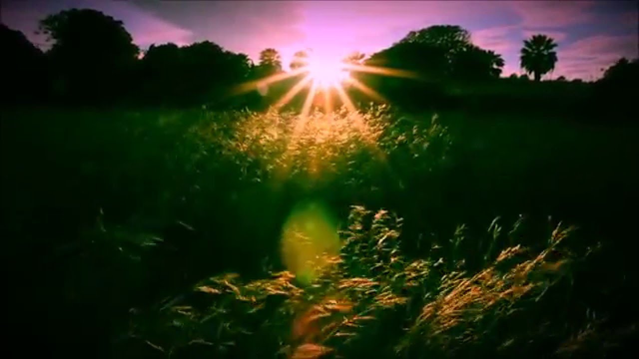 Kriistal Ann - Deadly Insight (Official Video)