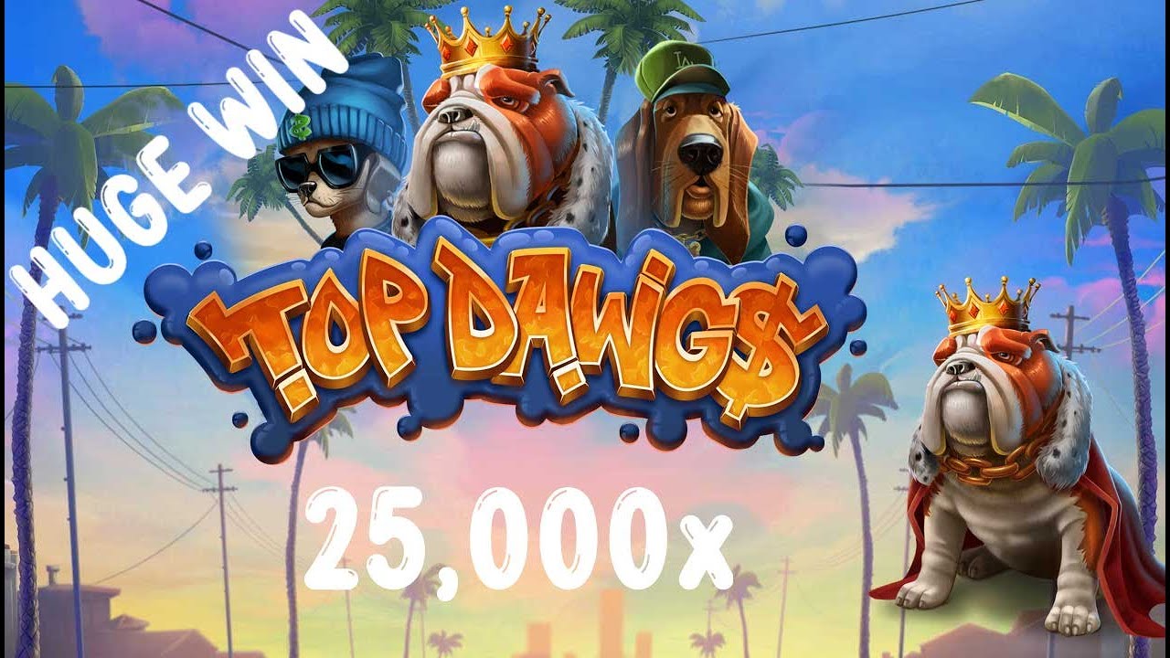 💥 TOP DAWGS MAX WIN 💥 MASSIVE SLOT WIN