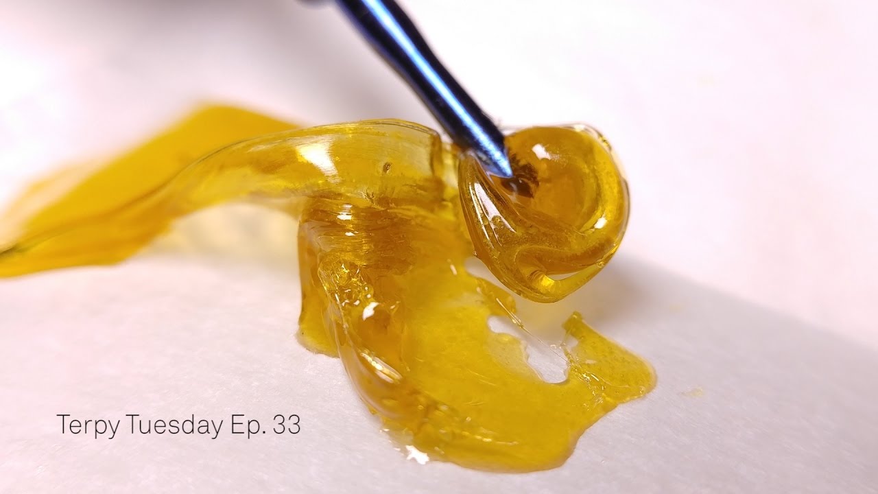 The Gas Station Clifford Live Resin: Terpy Tuesday Ep. 33
