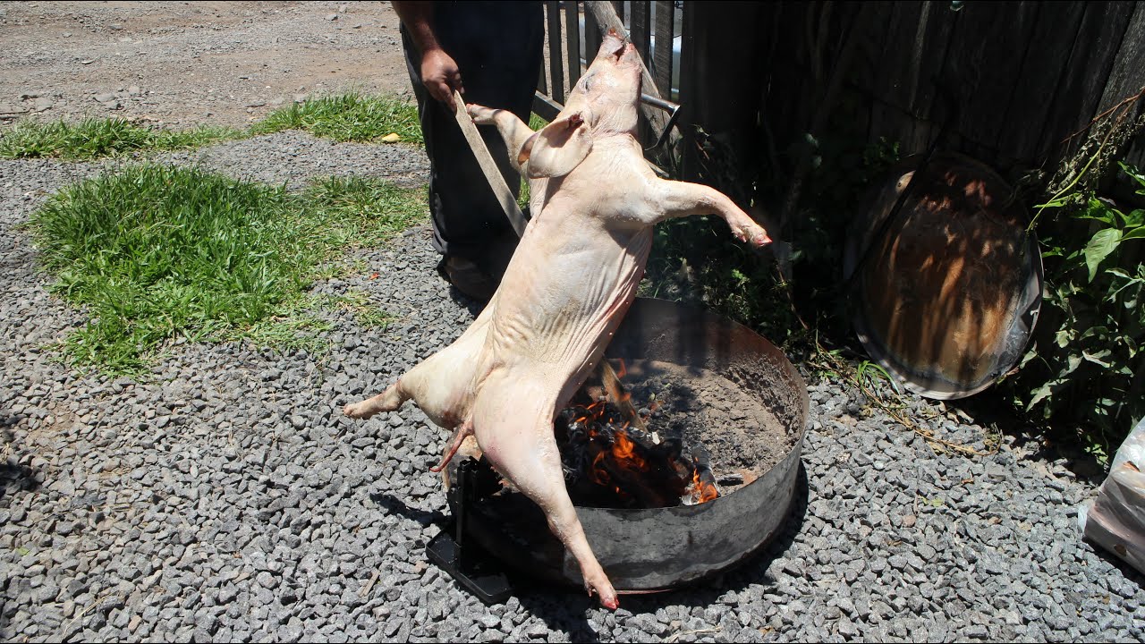 ESPETO PARA PORCO DO MERCADO LIVRE!