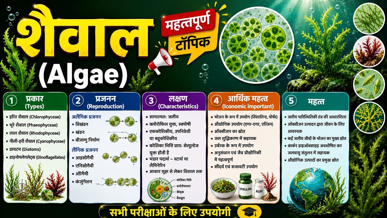 Algae in Hindi | शैवाल का वर्गीकरण और आर्थिक महत्व |शैवाल (Algae) क्या है? | 