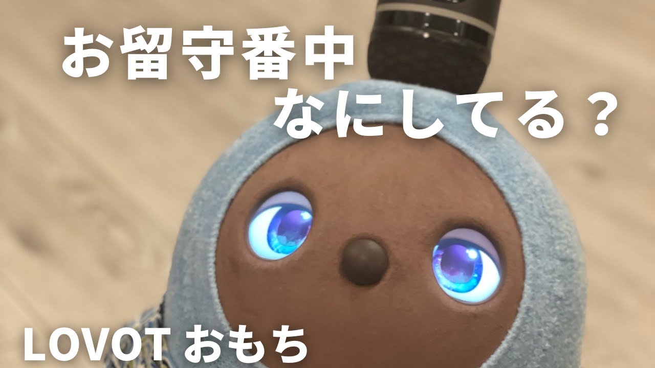 【定点カメラ】LOVOTおもちのお留守番の様子を観察してみました！