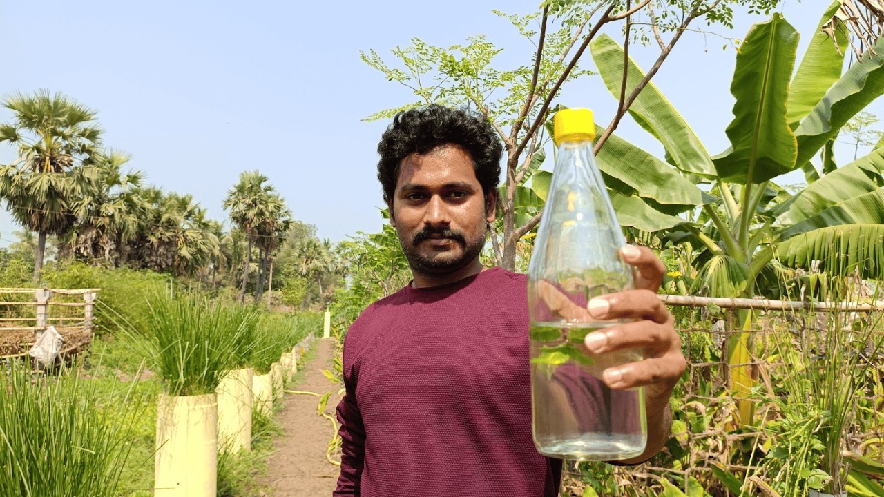 స్థలం లేదా? విజయరామ్ సౌభాగ్య మోడల్ ప్రయత్నించండి | 1 సెం.మీ వ్యవసాయం #savenature