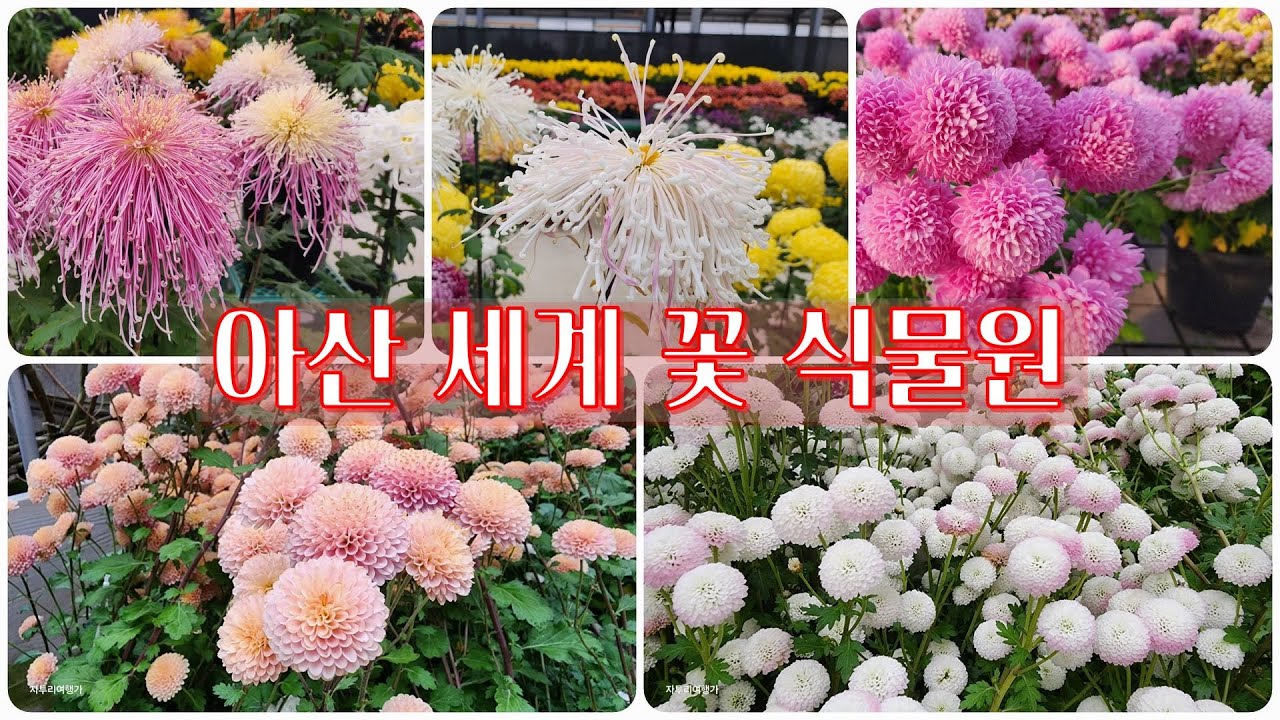 아산 세계 꽃 식물원,  Asan World Flower Botanical Garden