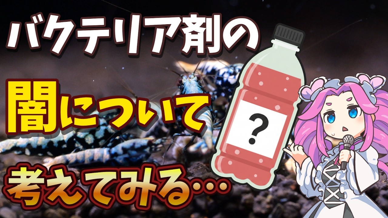 バクテリア剤を検証しようと思ったのだけど…？