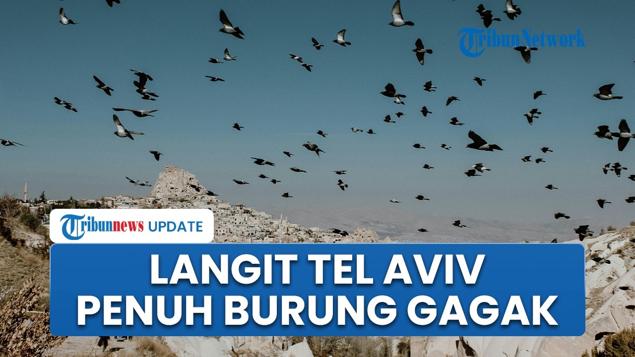 Ribuan Burung Gagak Hitam Penuhi Langit Tel Aviv, Ilmuwan Bantah Jadi Pertanda Buruk bagi Israel