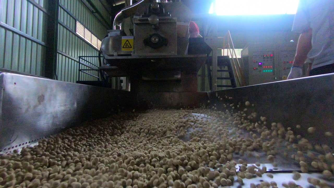 1ton per hour floating fish feed production line