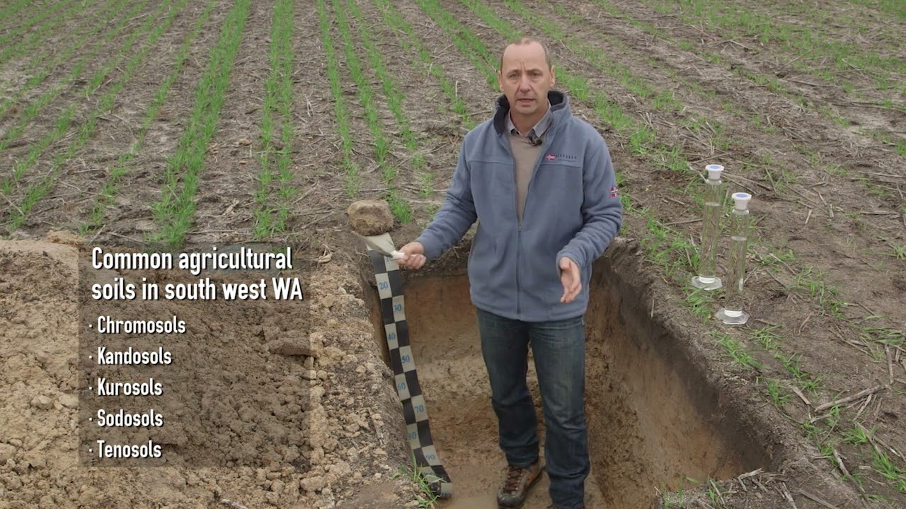 Australian Soil Classification system