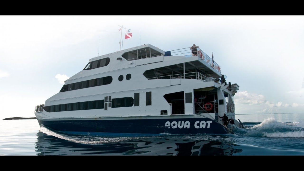 AquaCat interior tour