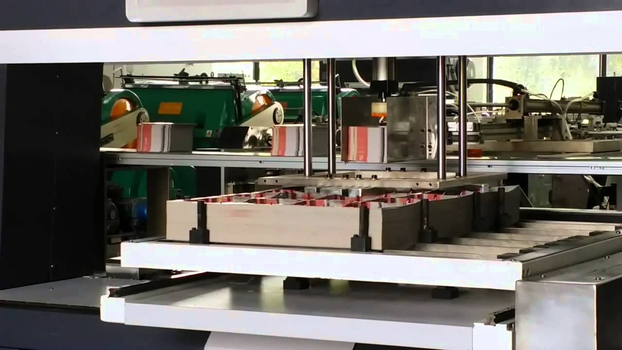 Auto Blanking Machine for Die Cutting - PrintQC.com