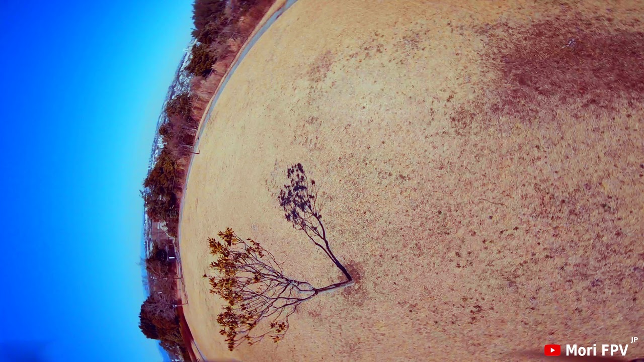 U199 4Inch FPV Drone FreeStyle Flight/D400 Test