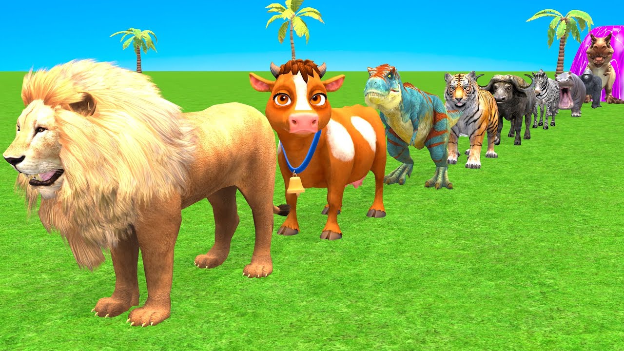 Colorful Long Slide Game With Cow Elephant Gorilla Hippopotamus Tiger 3dAnimal Game Funny 3d Animals