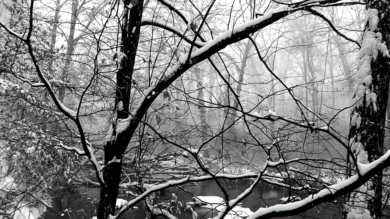 Relaxing Nature Journey & Walkabout #11 - Winter 2013 - Snowing - Snow Sounds, Flowing Water
