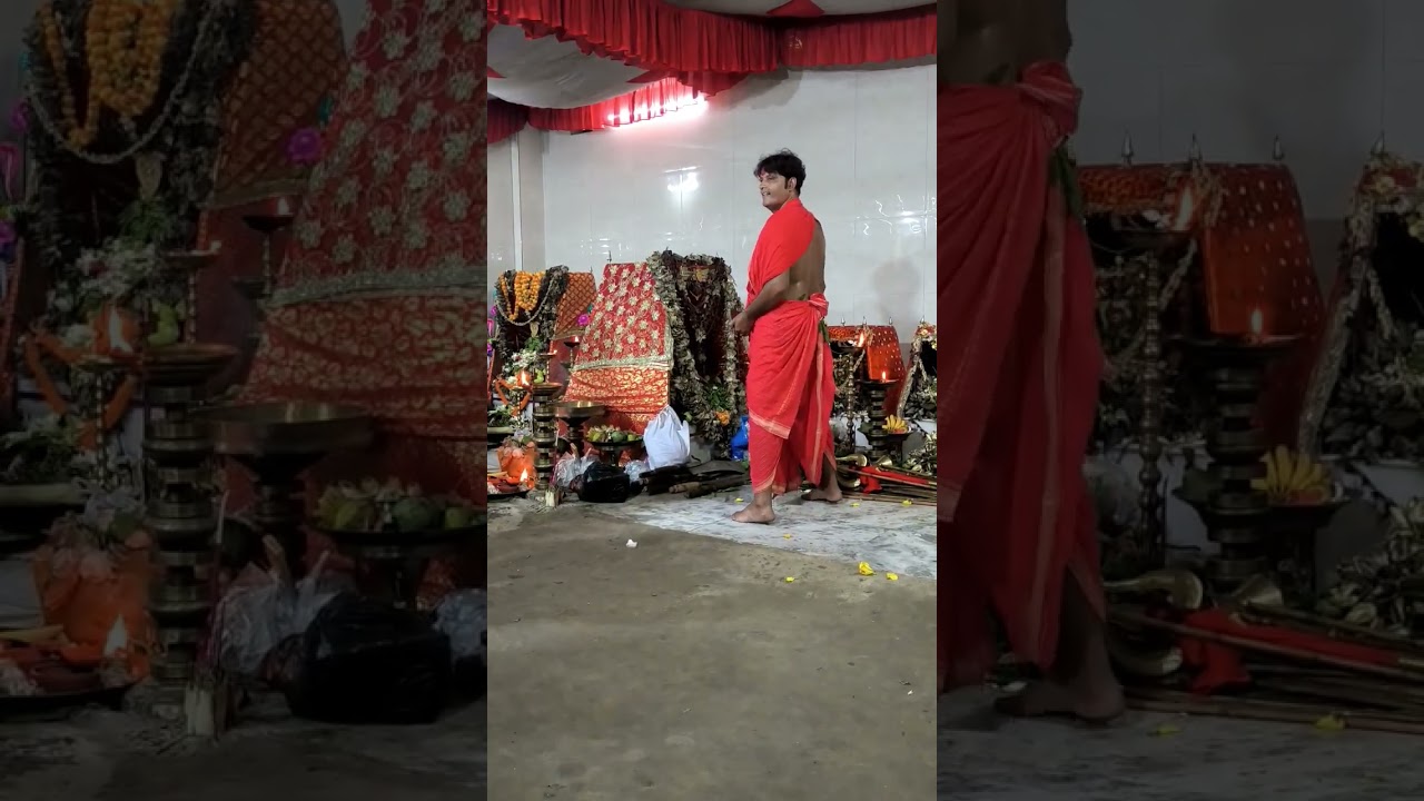 pacharia manasha puja 2023 #shorts #pacharia #assam