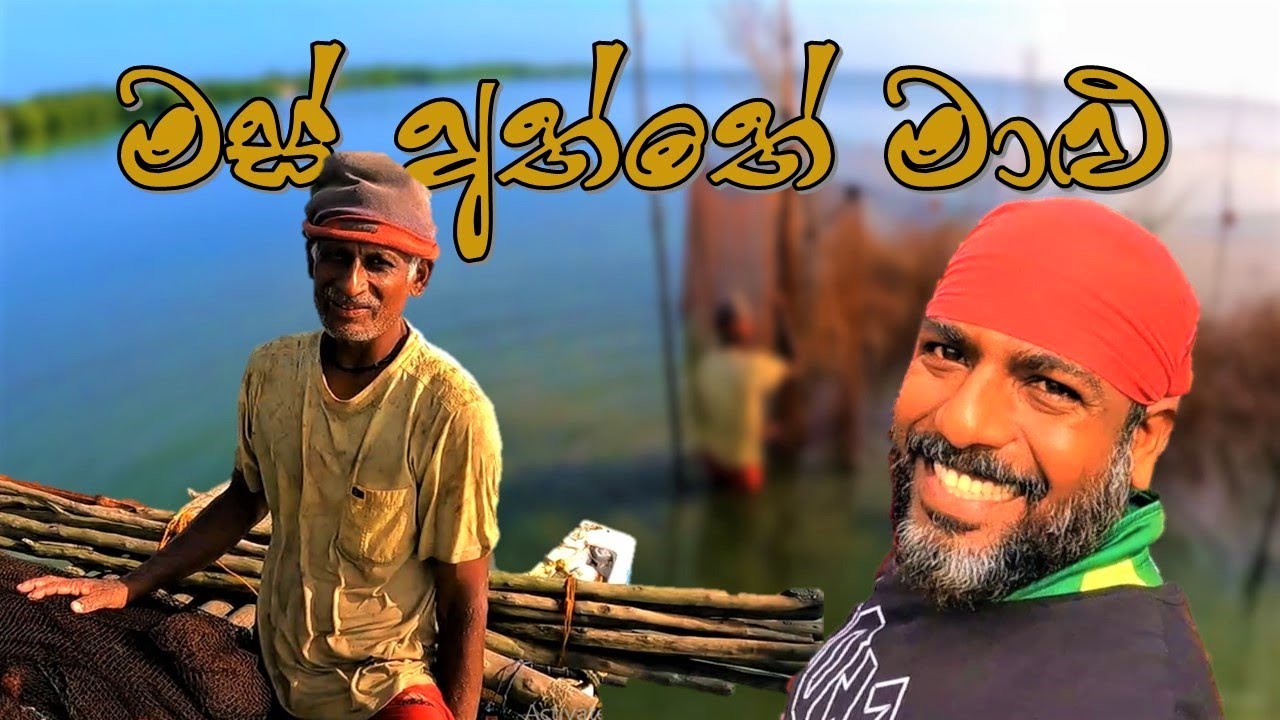 මස් අතු ධීවර රැකියාව | මෙහෙමත් මාලු ඇල්ලිල්ලක් | Traditional Fishing | @wishwatiyubaya 👣😲🎣