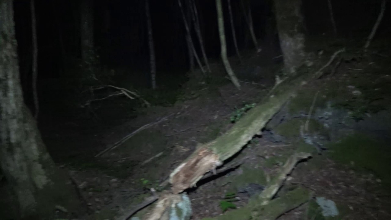 Aokigahara , Solo Ghost Hunt, Suicide Forest Japan..  Part 1