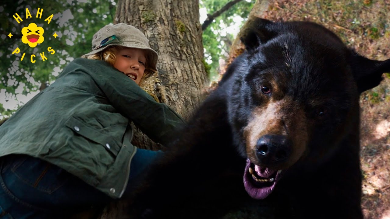 Death in the Tree (FULL SCENE) | Cocaine Bear