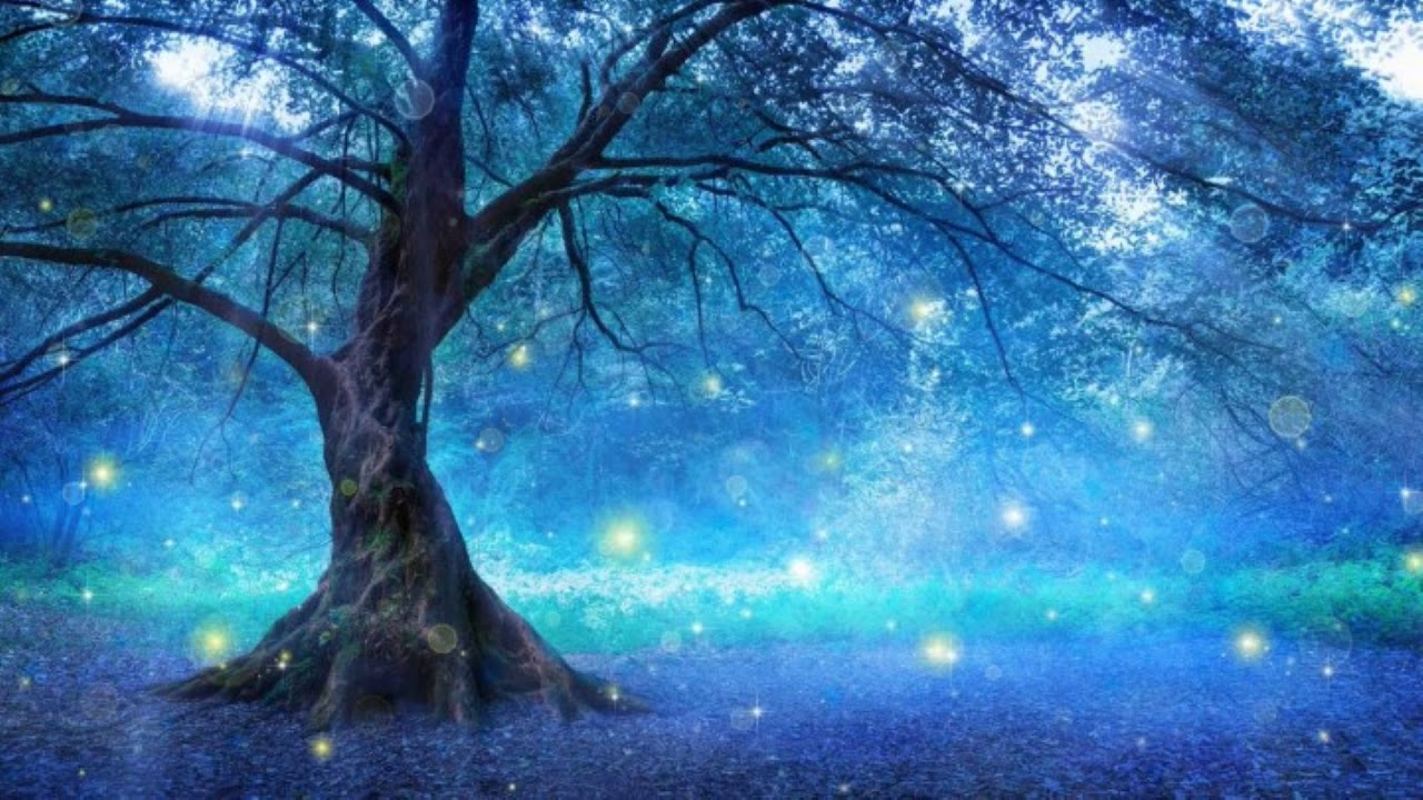 Are You Otherkin/Therian? Guided Meditation