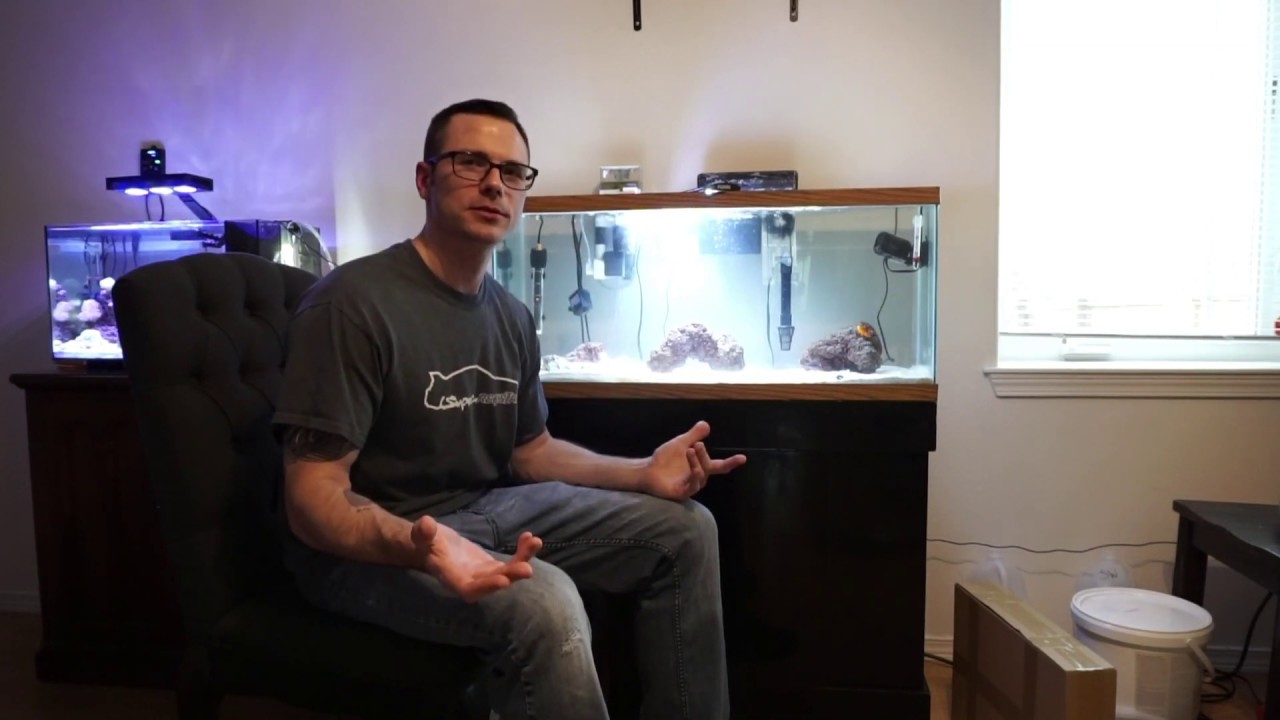 [TANK RESCUE] SAVED 45G REEF TANK FROM DAMNATION!