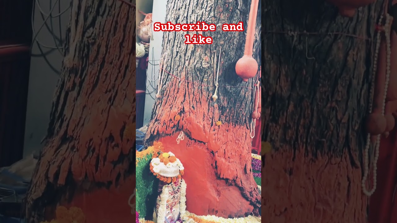 सुंदरकांड पाठ🚩🛕#treding #youtubesorts #youtuber  #subscribe #viral #sunderkaand #like #hanuman #ॐ