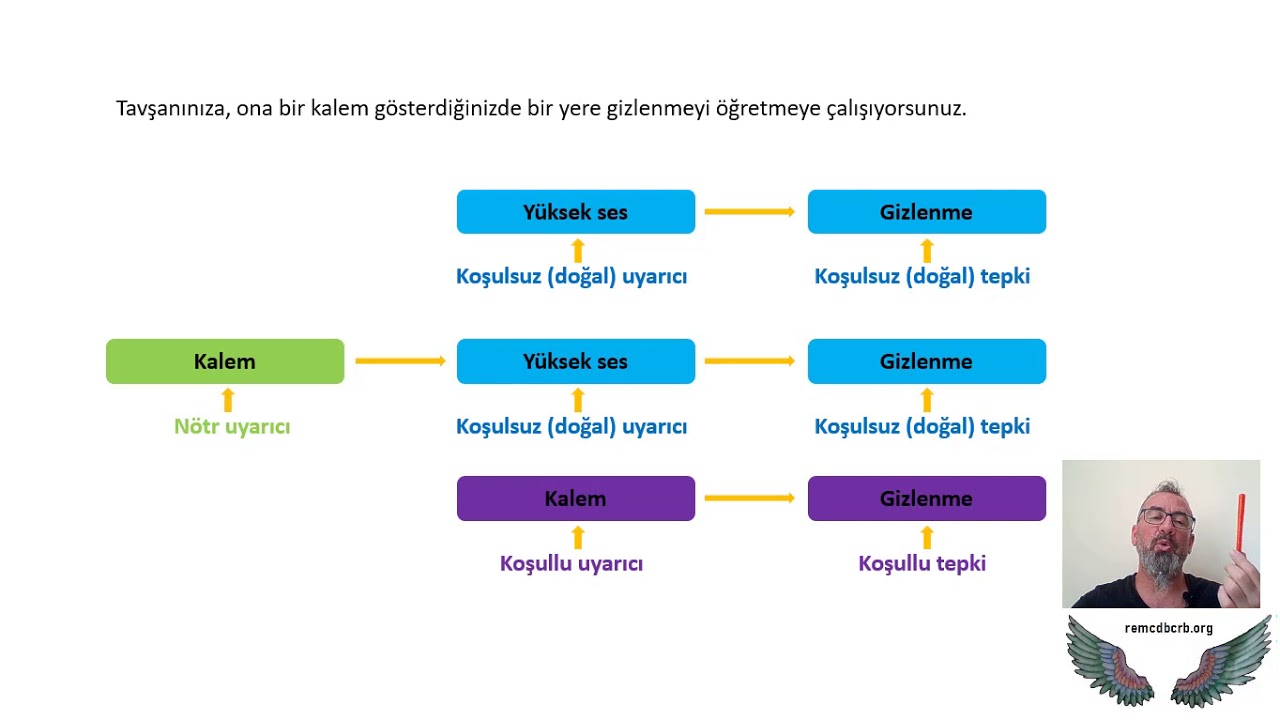 ÖP020 - Pavlov - Klasik Koşullama