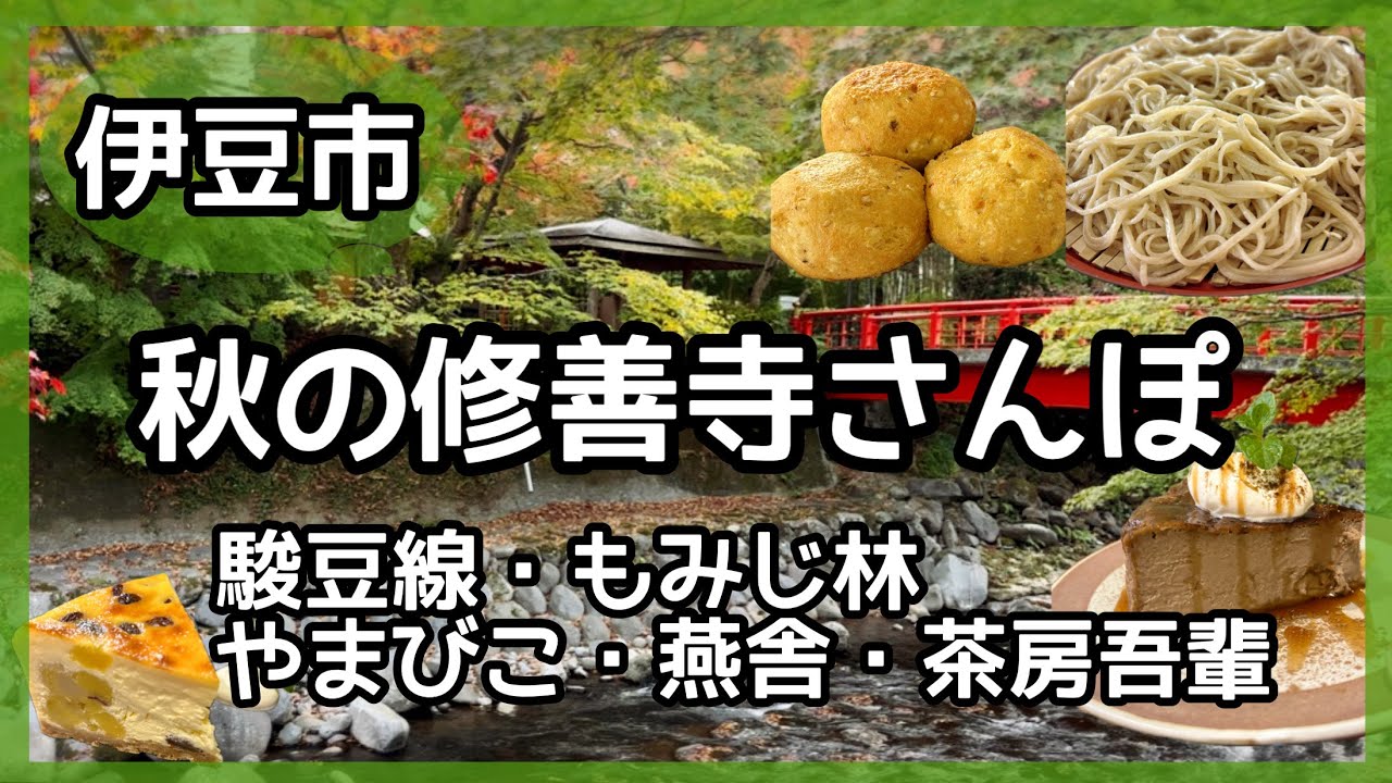【伊豆市】秋の修善寺さんぽ🍁もみじ林・やまびこ・燕舎・修善寺温泉街