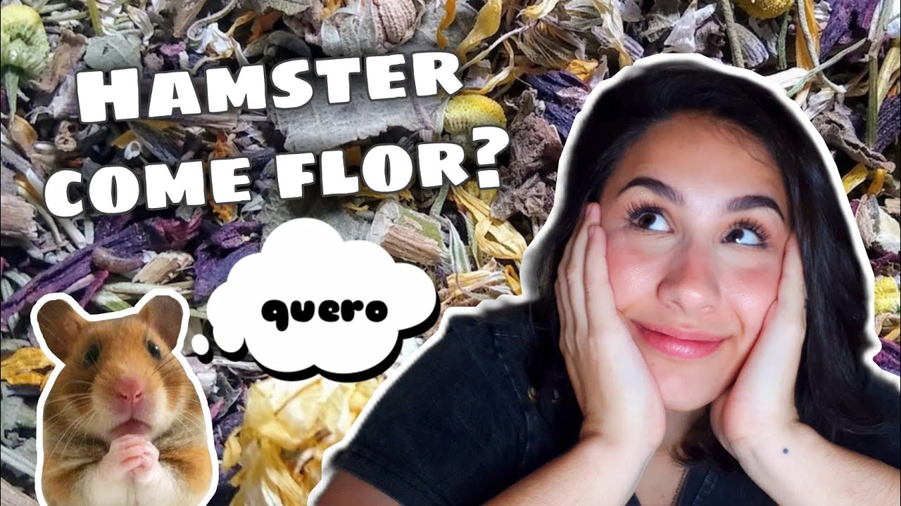 TUDO sobre ERVAS E FLORES | HAMSTERS #20