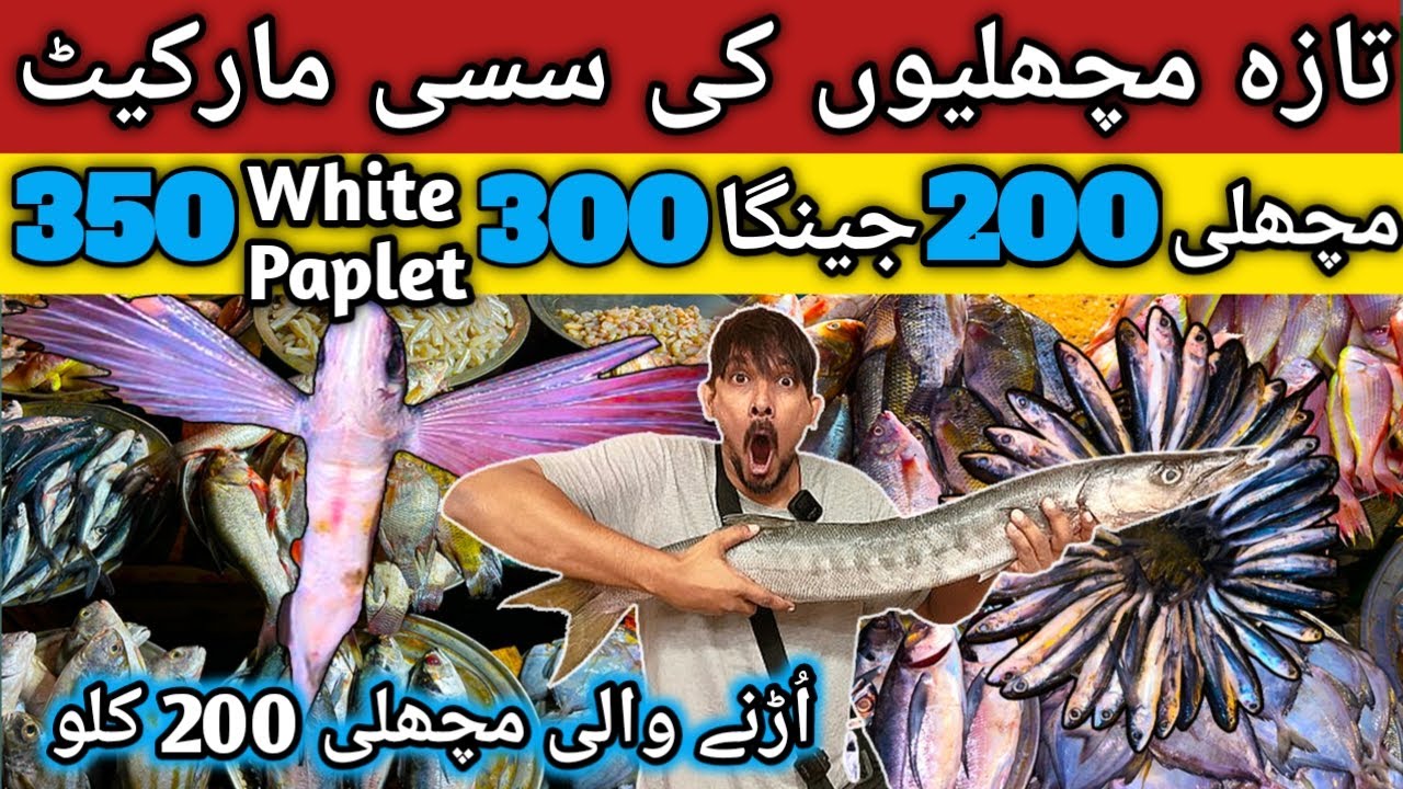 Cheapest Market Of Fresh Fish Wholesale Unbelievable Rates Fish, Prawns Orangi @foodtravelwithjazi