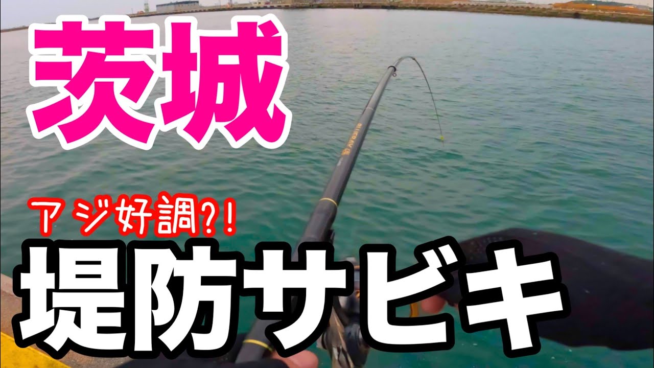 茨城の漁港でアジ好調？堤防サビキしてみた結果、、、