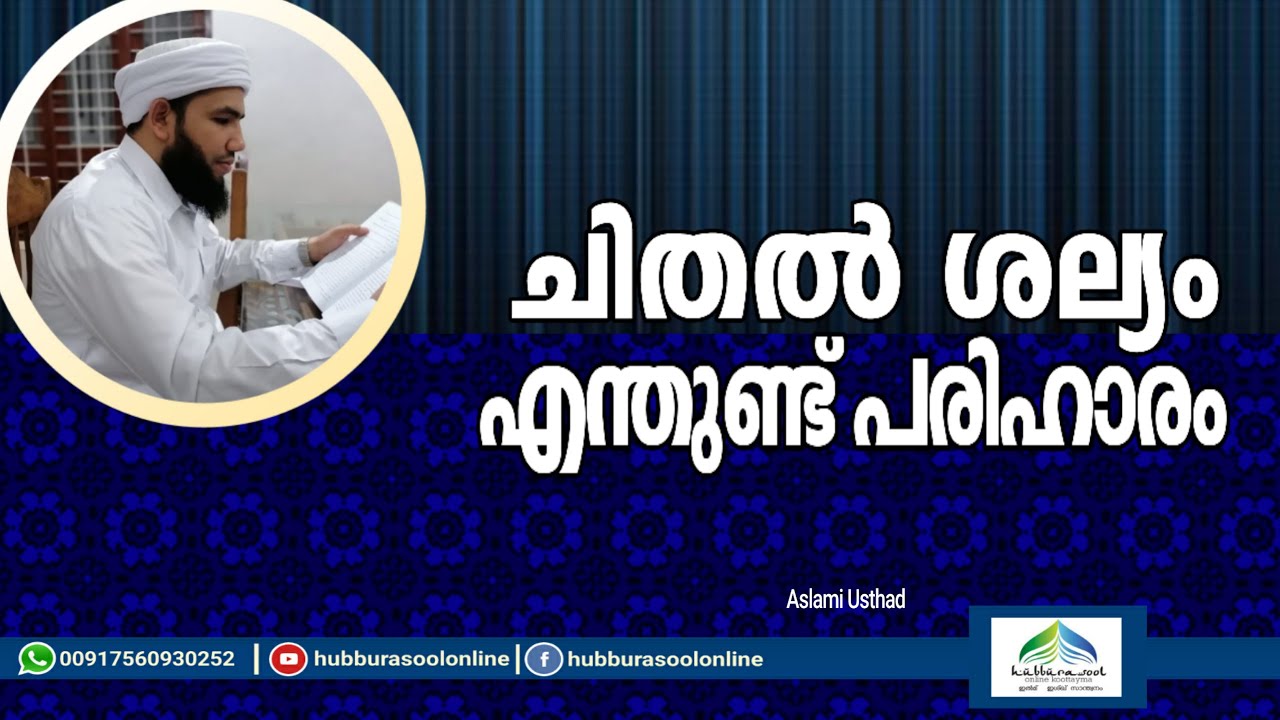 ചിതൽ ശല്യം എന്തുണ്ട്‌ പരിഹാരം? | Latest Islamic Speech | Muneer Aslami Usthad