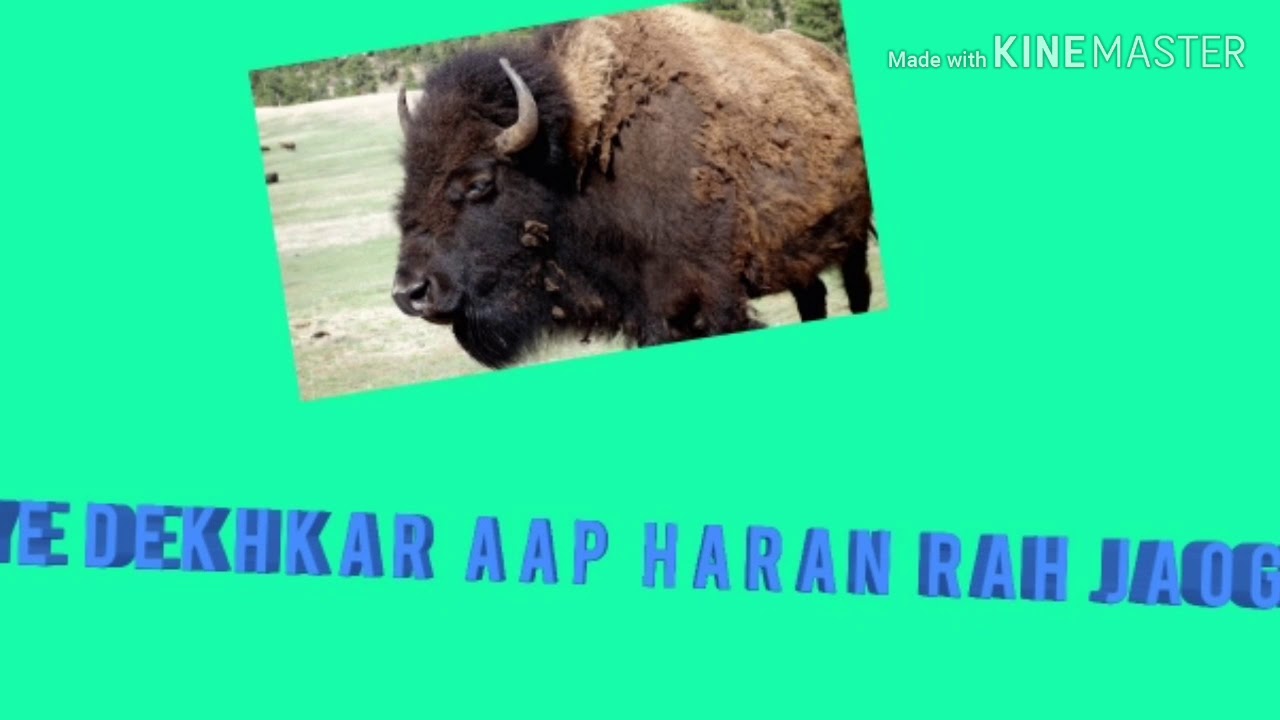 Jagran me hua asa Kam