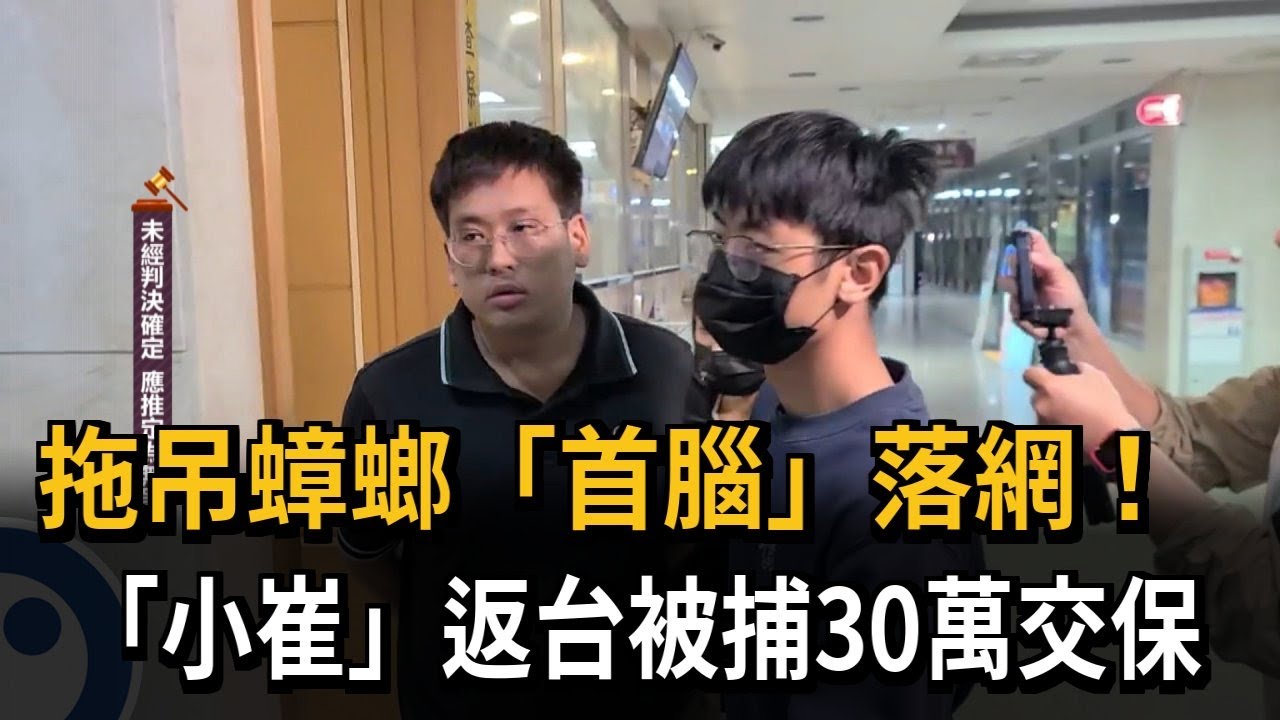 逃亡海外! 拖吊蟑螂首腦到案 