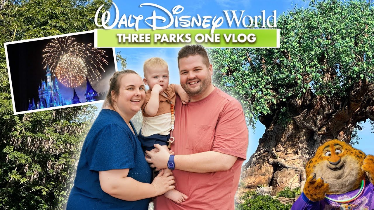 Дикий день в Animal Kingdom, Hollywood Studios ночью и веселье в Magic Kingdom! 🇺🇸