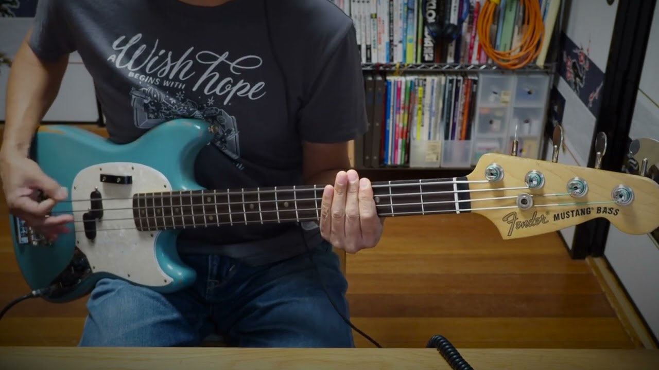 Dinosaur Jr. - Feel the Pain (bass guitar cover)