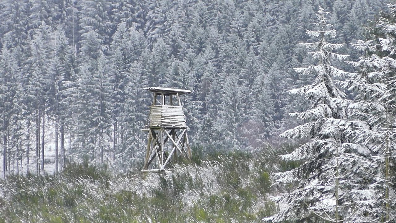 Wanderung im noch neuen Jahr durch Neuschnee (mit Schneegestöber) im Sauerland • Anfang Januar 2026